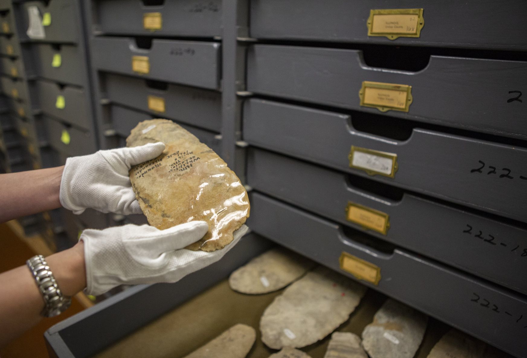 Science Center Collections